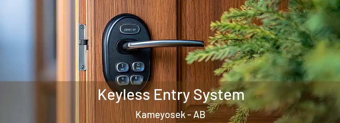  Keyless Entry System Kameyosek - AB