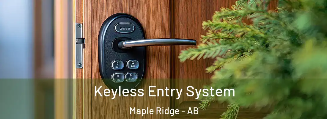  Keyless Entry System Maple Ridge - AB