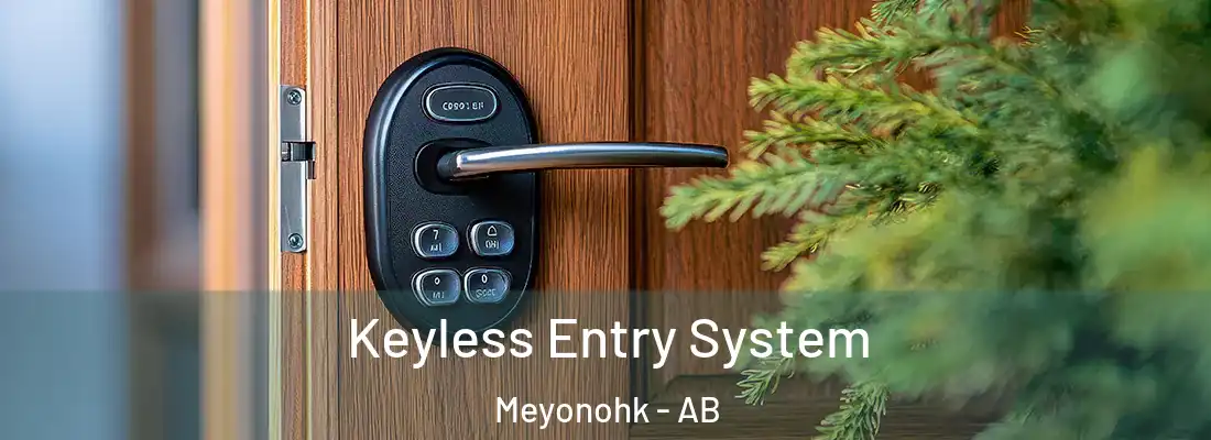  Keyless Entry System Meyonohk - AB