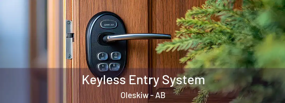  Keyless Entry System Oleskiw - AB