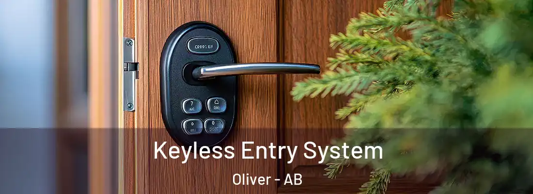  Keyless Entry System Oliver - AB