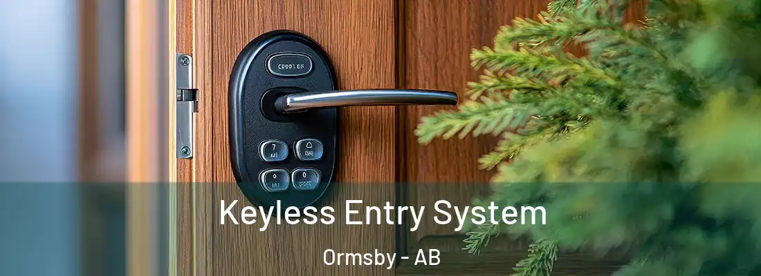  Keyless Entry System Ormsby - AB