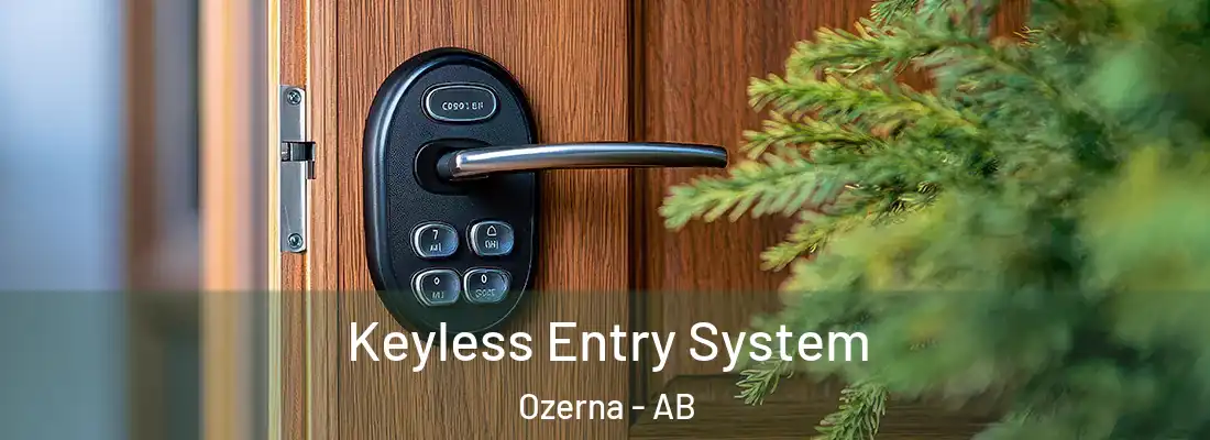  Keyless Entry System Ozerna - AB
