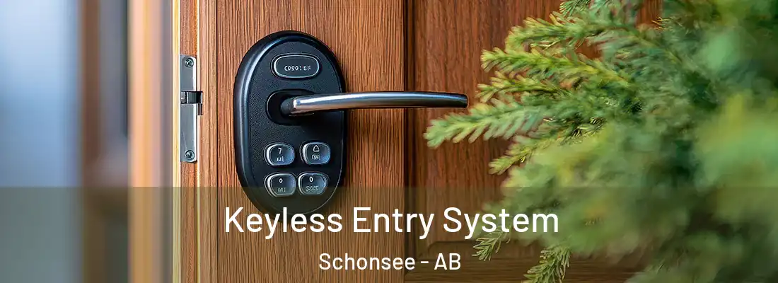  Keyless Entry System Schonsee - AB