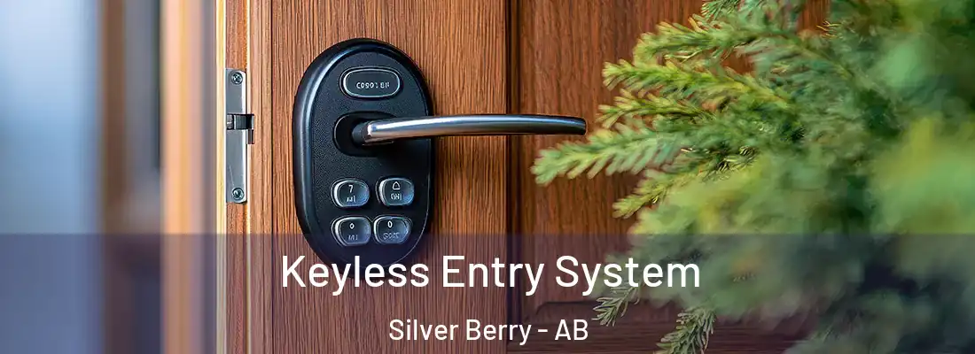  Keyless Entry System Silver Berry - AB