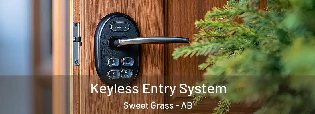  Keyless Entry System Sweet Grass - AB