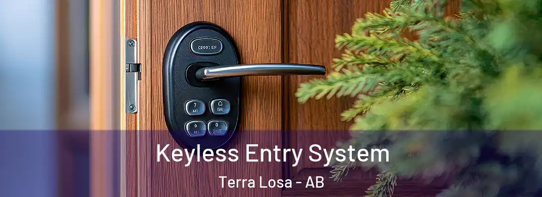  Keyless Entry System Terra Losa - AB