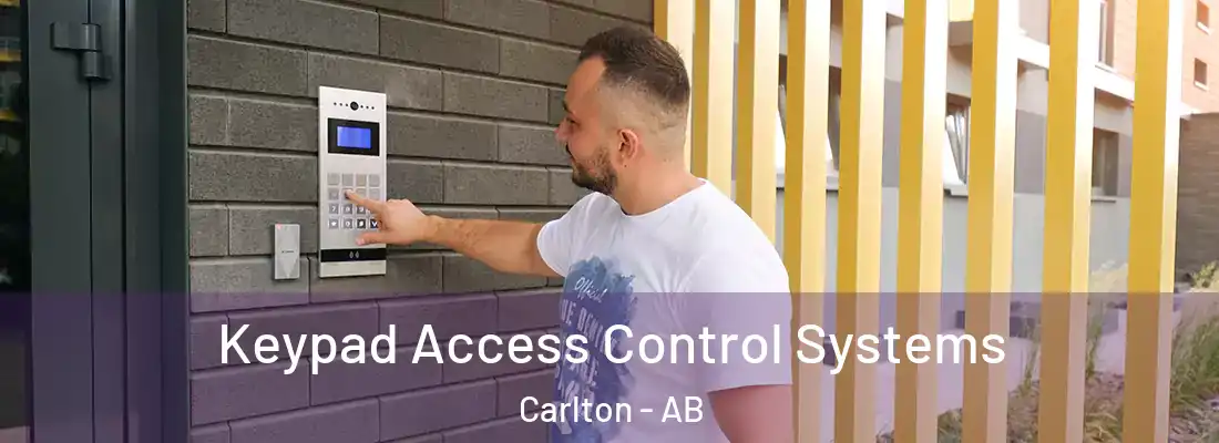  Keypad Access Control Systems Carlton - AB
