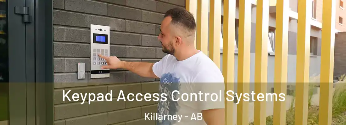  Keypad Access Control Systems Killarney - AB
