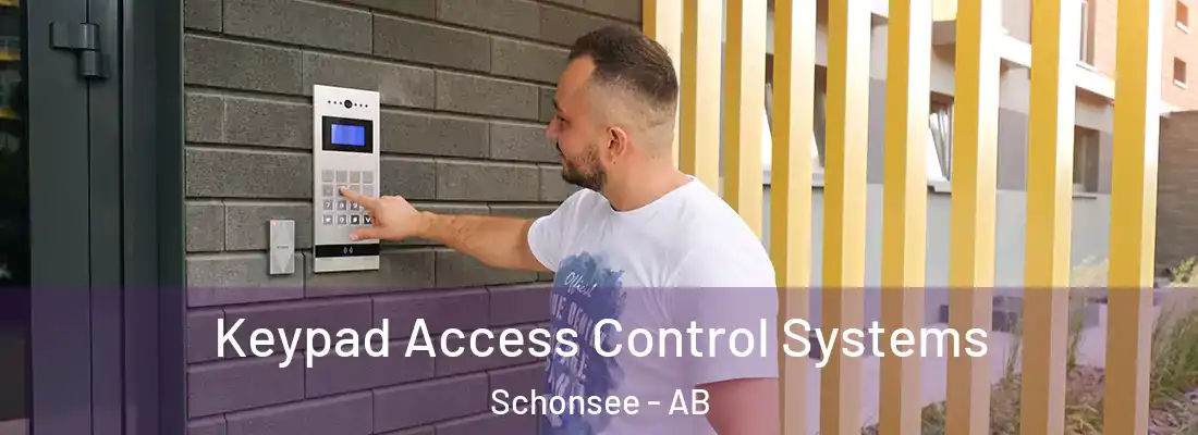  Keypad Access Control Systems Schonsee - AB