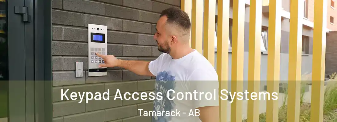  Keypad Access Control Systems Tamarack - AB