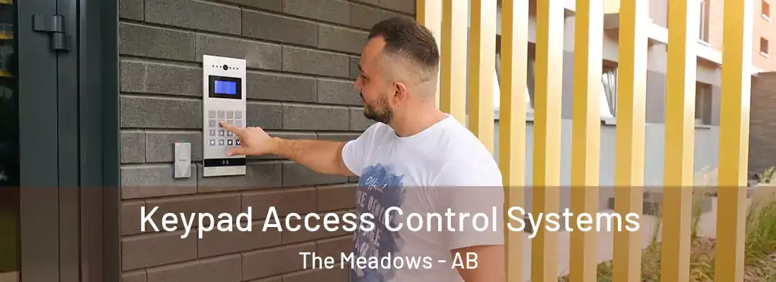  Keypad Access Control Systems The Meadows - AB