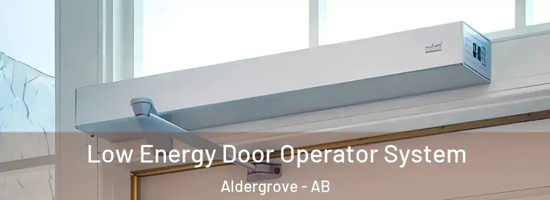  Low Energy Door Operator System Aldergrove - AB