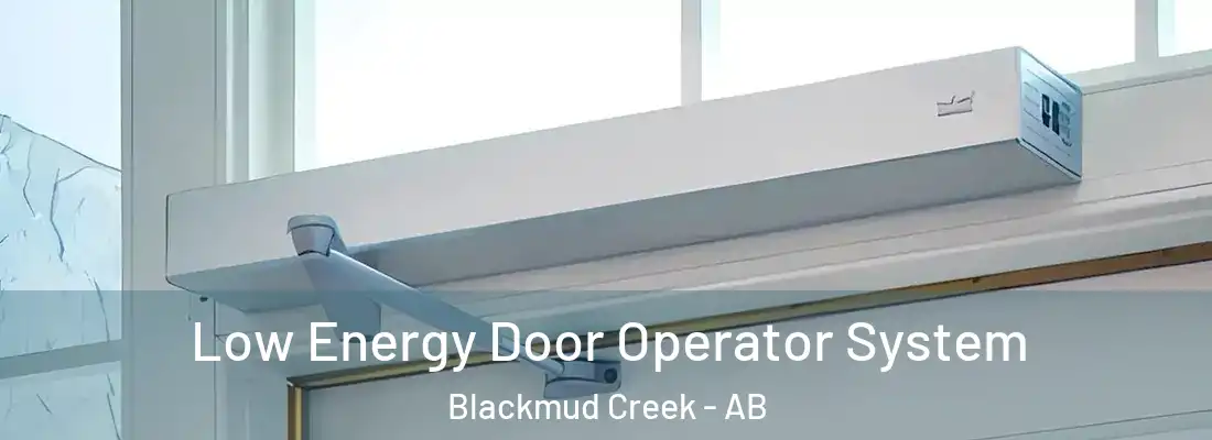  Low Energy Door Operator System Blackmud Creek - AB