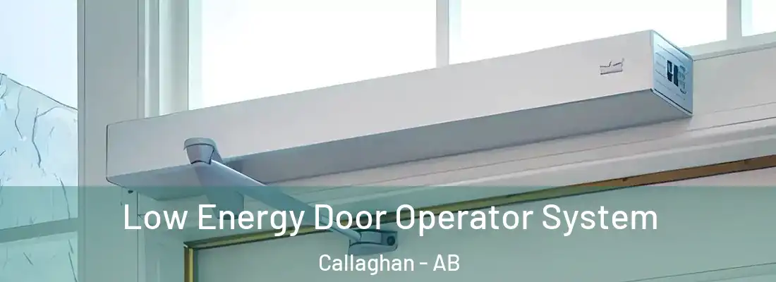  Low Energy Door Operator System Callaghan - AB