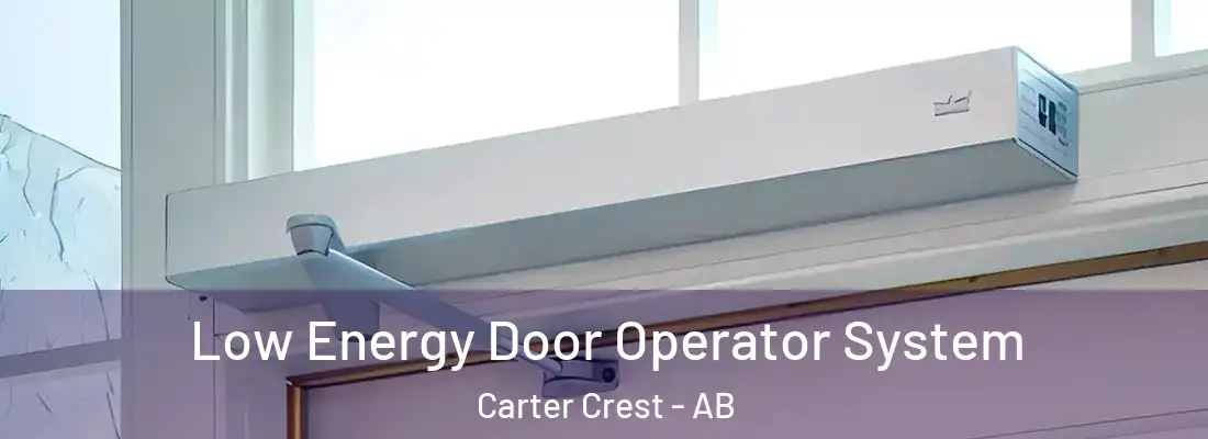  Low Energy Door Operator System Carter Crest - AB