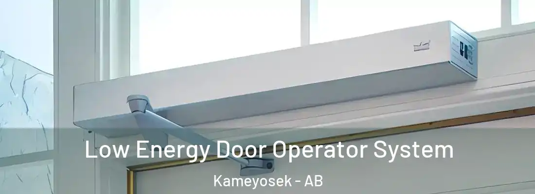  Low Energy Door Operator System Kameyosek - AB