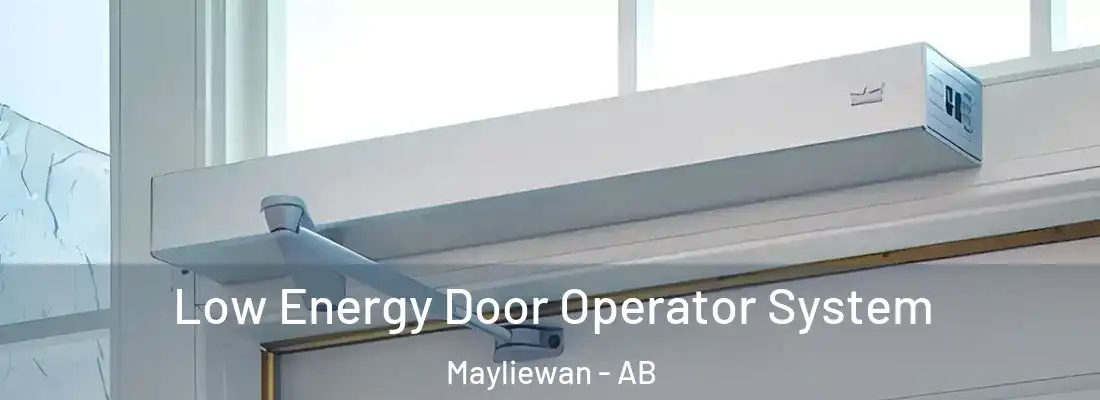  Low Energy Door Operator System Mayliewan - AB