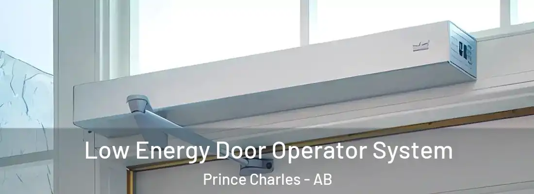  Low Energy Door Operator System Prince Charles - AB