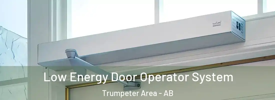  Low Energy Door Operator System Trumpeter Area - AB