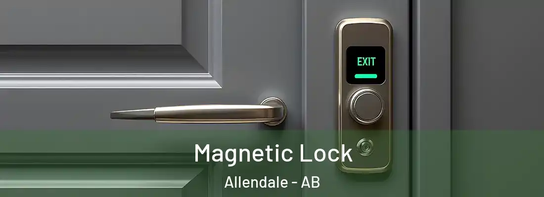  Magnetic Lock Allendale - AB