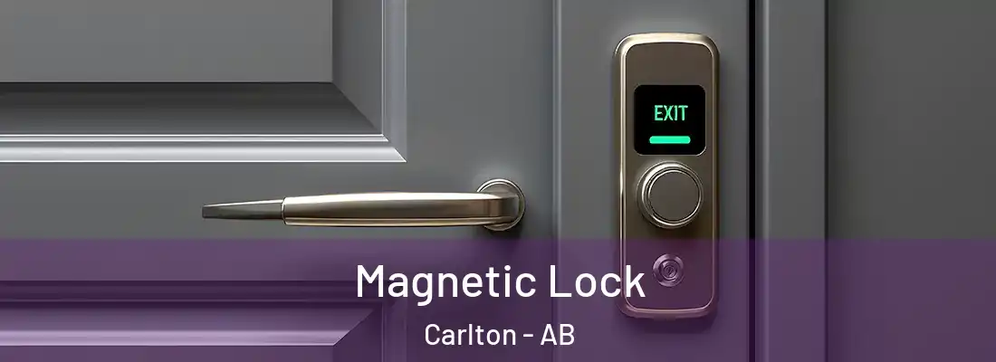  Magnetic Lock Carlton - AB