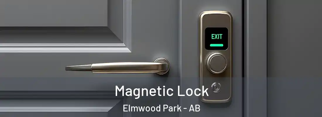  Magnetic Lock Elmwood Park - AB