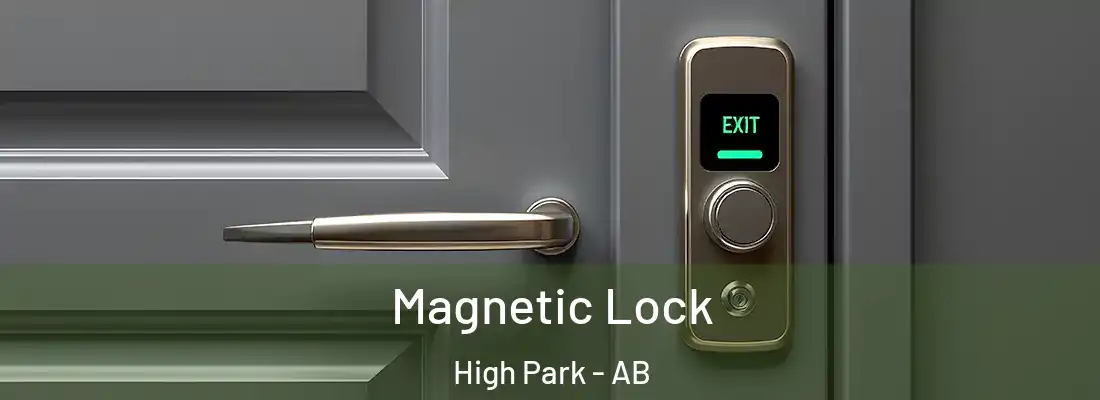  Magnetic Lock High Park - AB