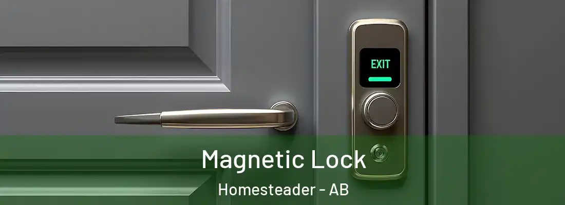  Magnetic Lock Homesteader - AB