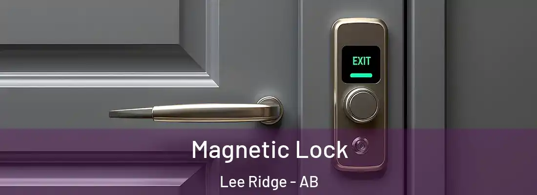  Magnetic Lock Lee Ridge - AB