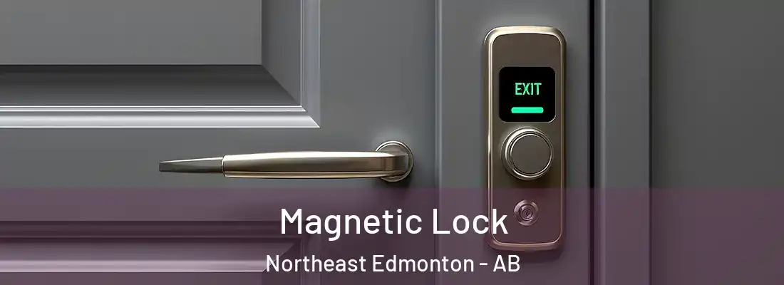  Magnetic Lock Northeast Edmonton - AB