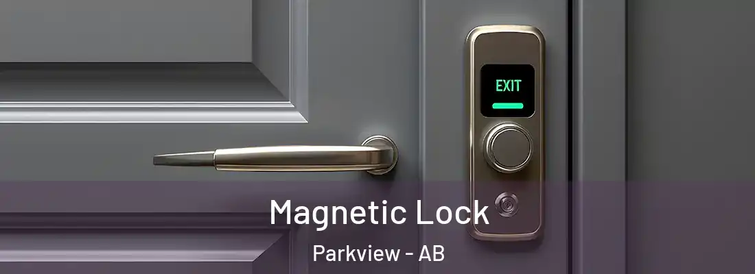  Magnetic Lock Parkview - AB