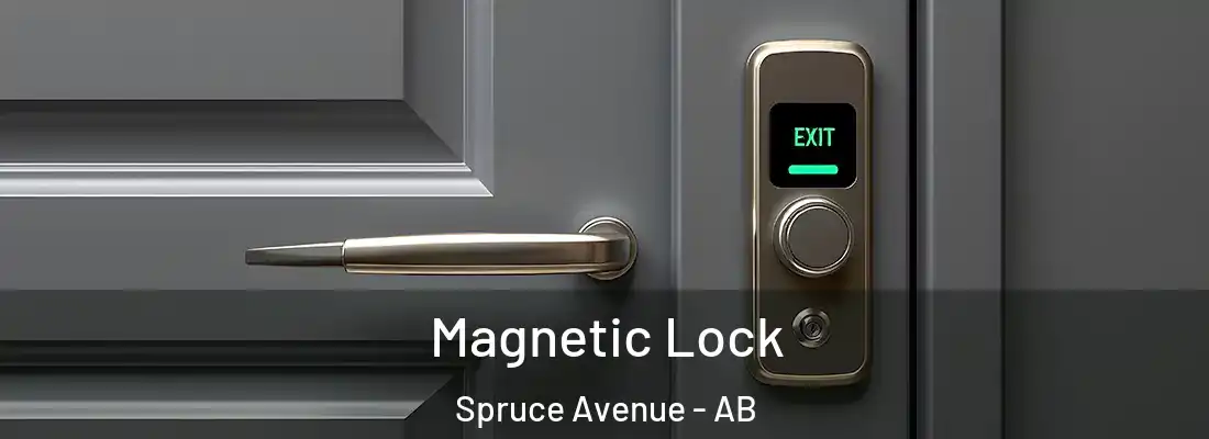  Magnetic Lock Spruce Avenue - AB
