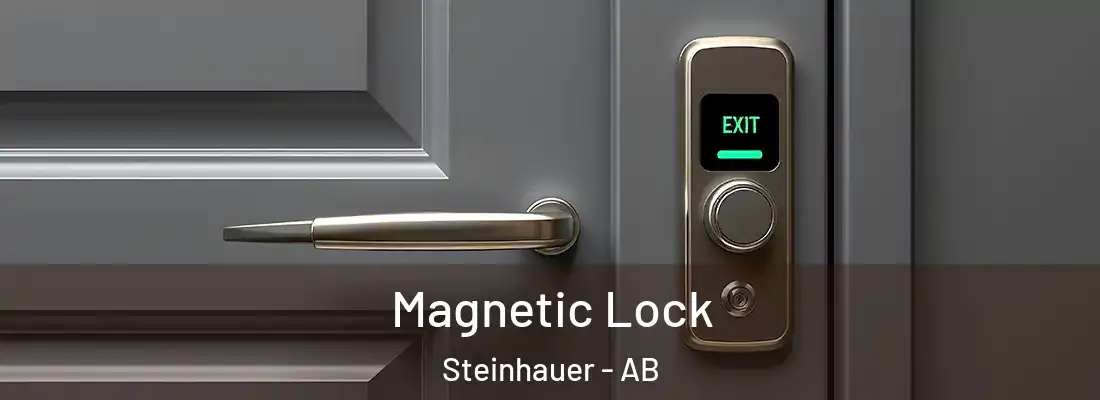  Magnetic Lock Steinhauer - AB