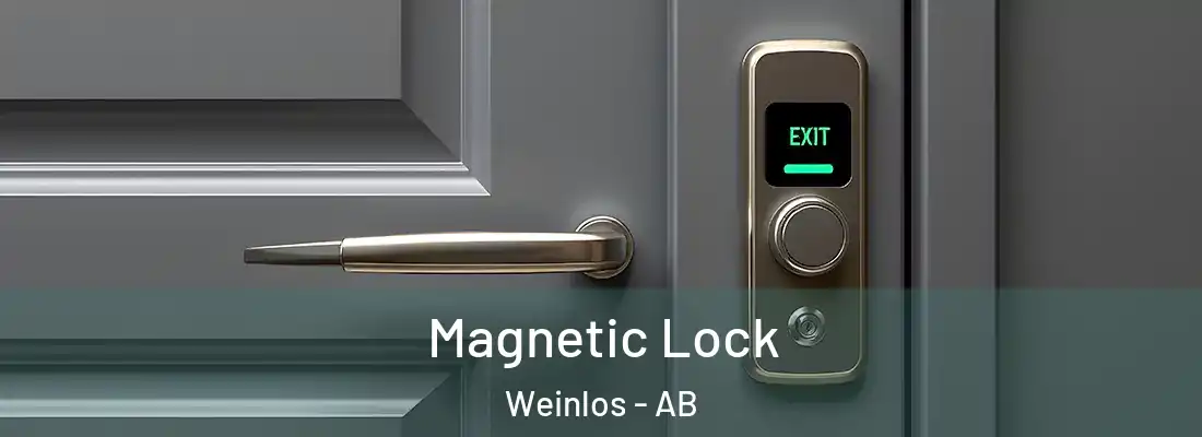  Magnetic Lock Weinlos - AB