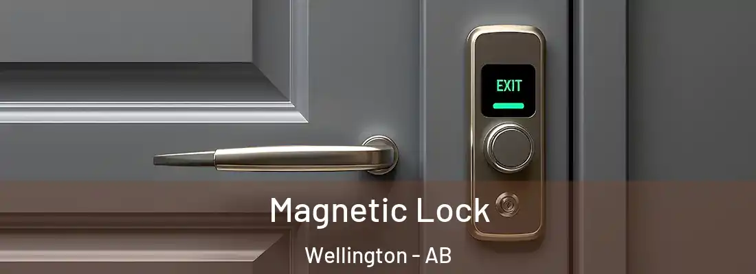  Magnetic Lock Wellington - AB