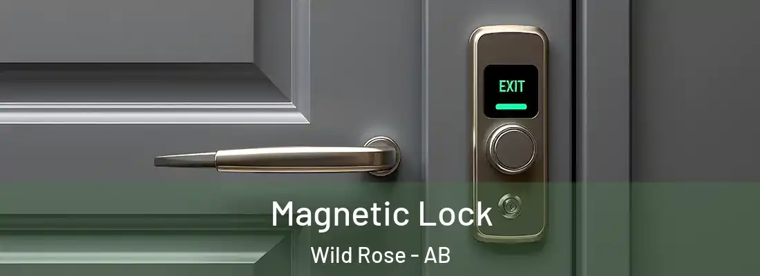  Magnetic Lock Wild Rose - AB