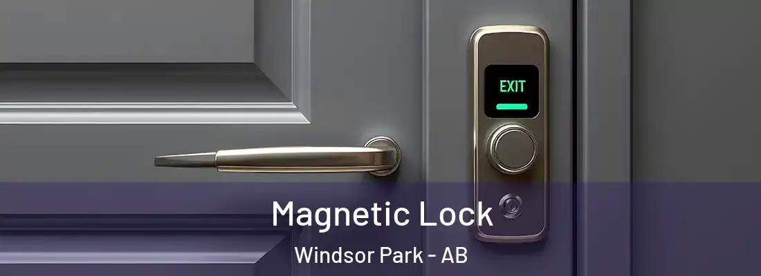  Magnetic Lock Windsor Park - AB