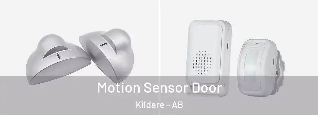  Motion Sensor Door Kildare - AB