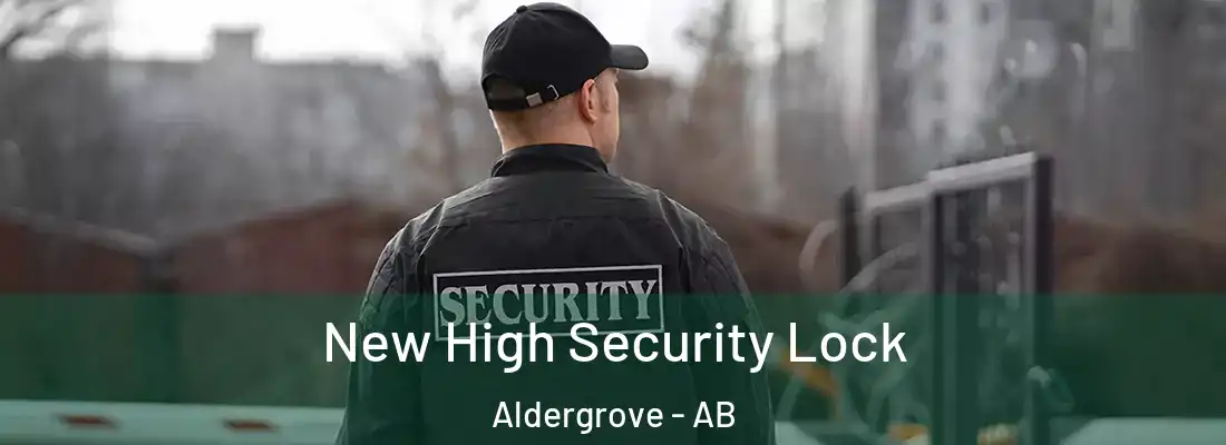  New High Security Lock Aldergrove - AB