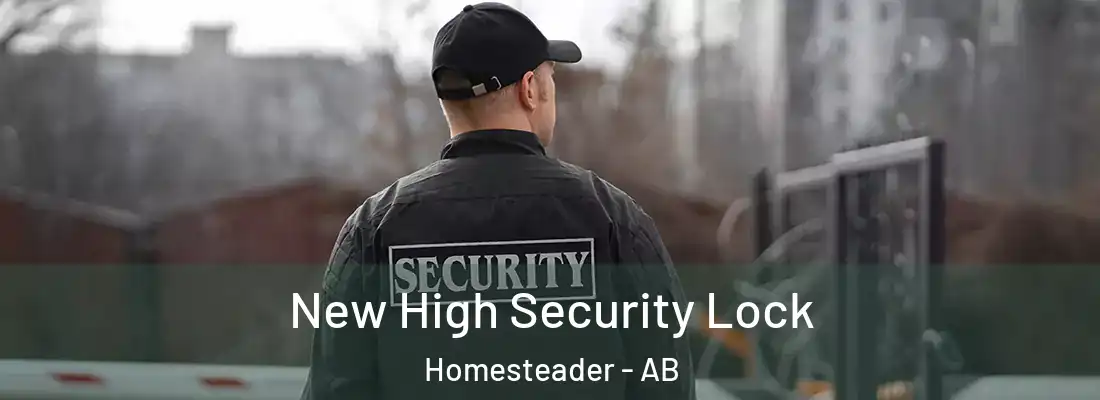  New High Security Lock Homesteader - AB
