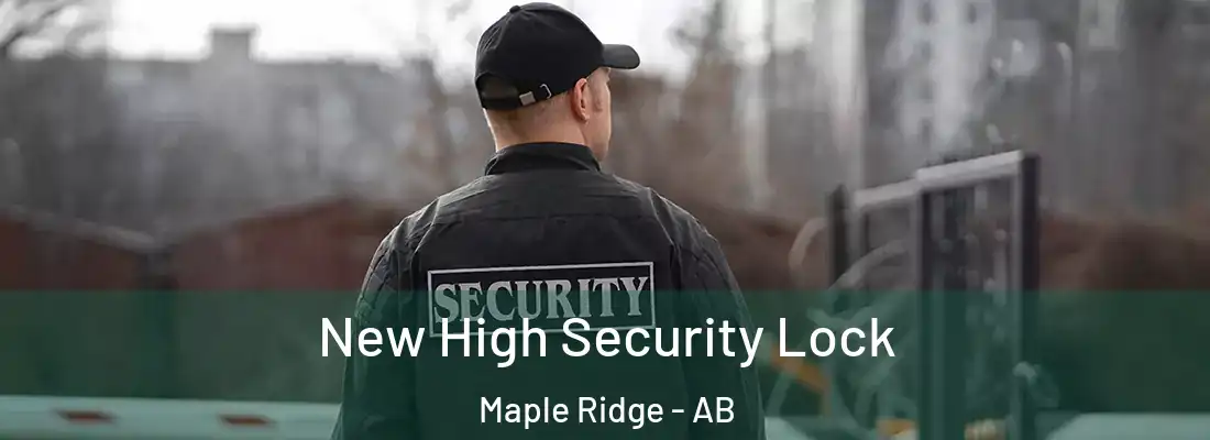  New High Security Lock Maple Ridge - AB