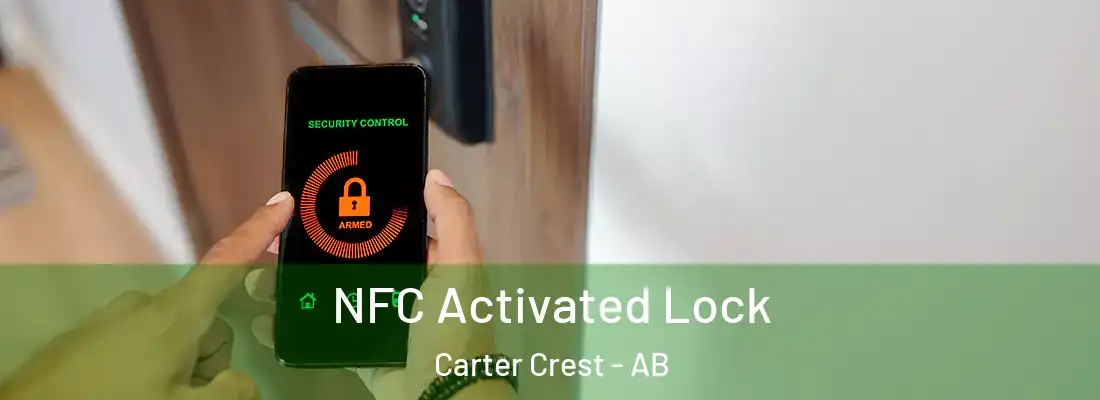  NFC Activated Lock Carter Crest - AB