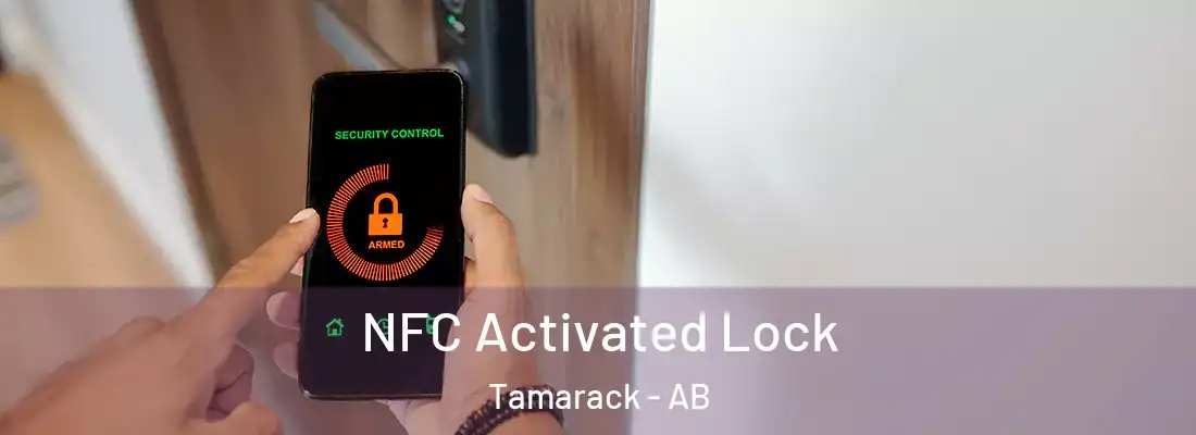  NFC Activated Lock Tamarack - AB