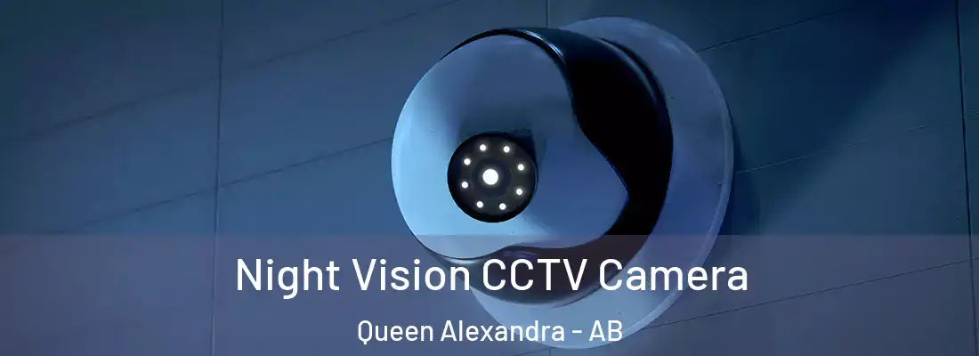  Night Vision CCTV Camera Queen Alexandra - AB