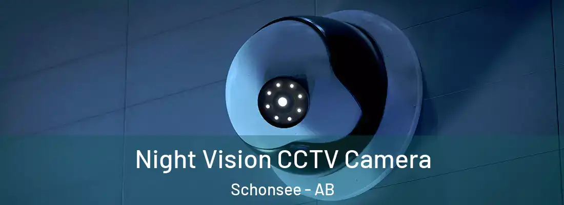  Night Vision CCTV Camera Schonsee - AB