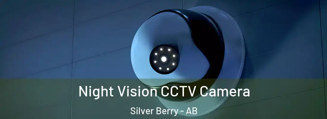  Night Vision CCTV Camera Silver Berry - AB