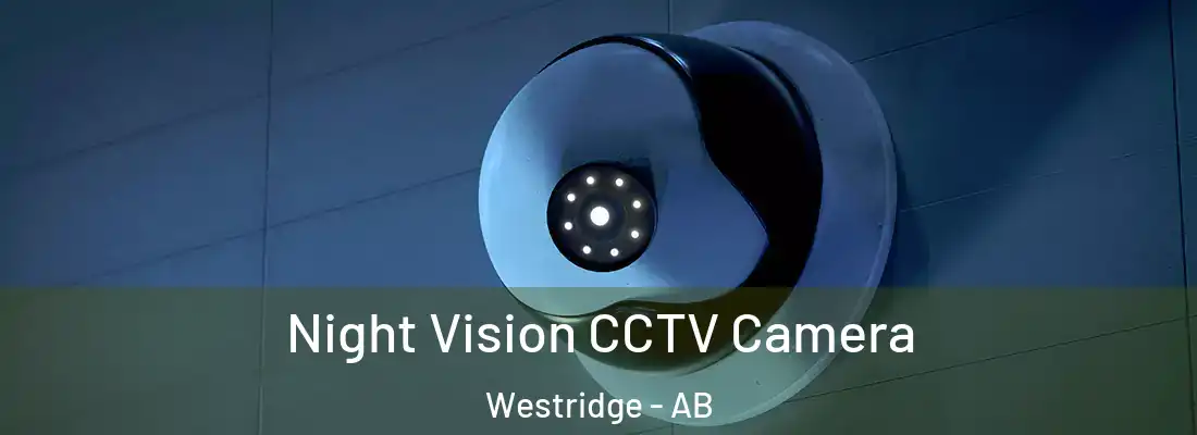  Night Vision CCTV Camera Westridge - AB