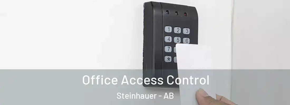  Office Access Control Steinhauer - AB