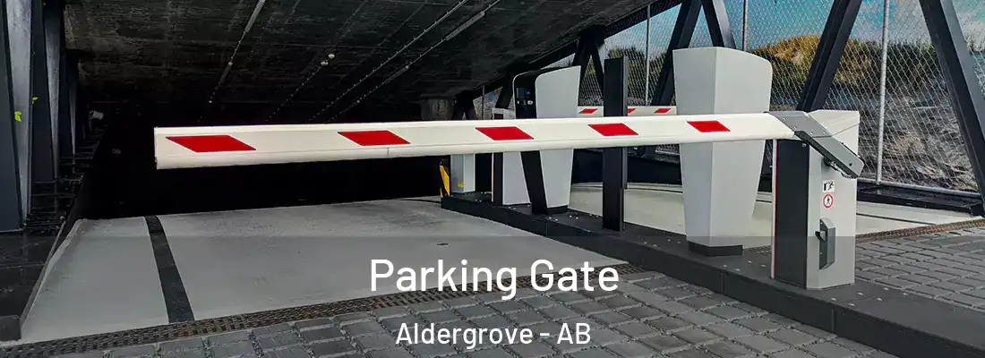  Parking Gate Aldergrove - AB